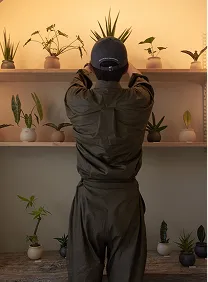 観葉植物の棚