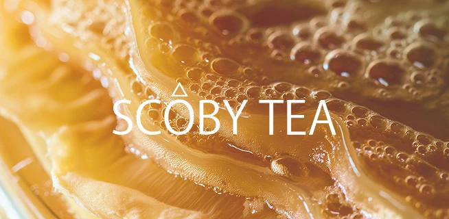 scoby tea